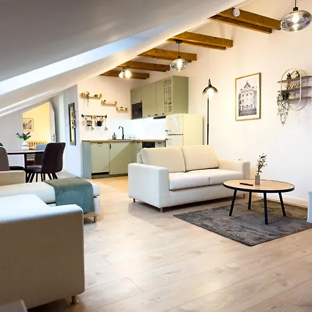 Attic Apartment, Center Of With Private Parking Apartman